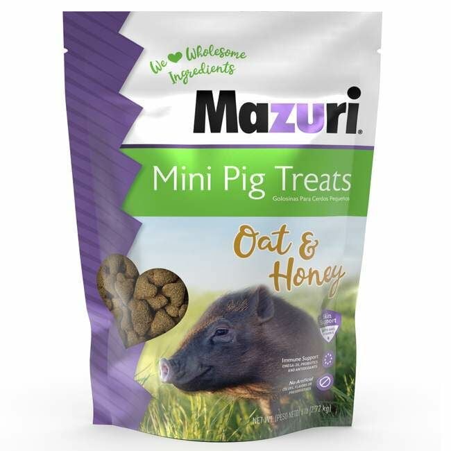 Mazuri Mini Pig Treats Oats & Honey, 6-Lb