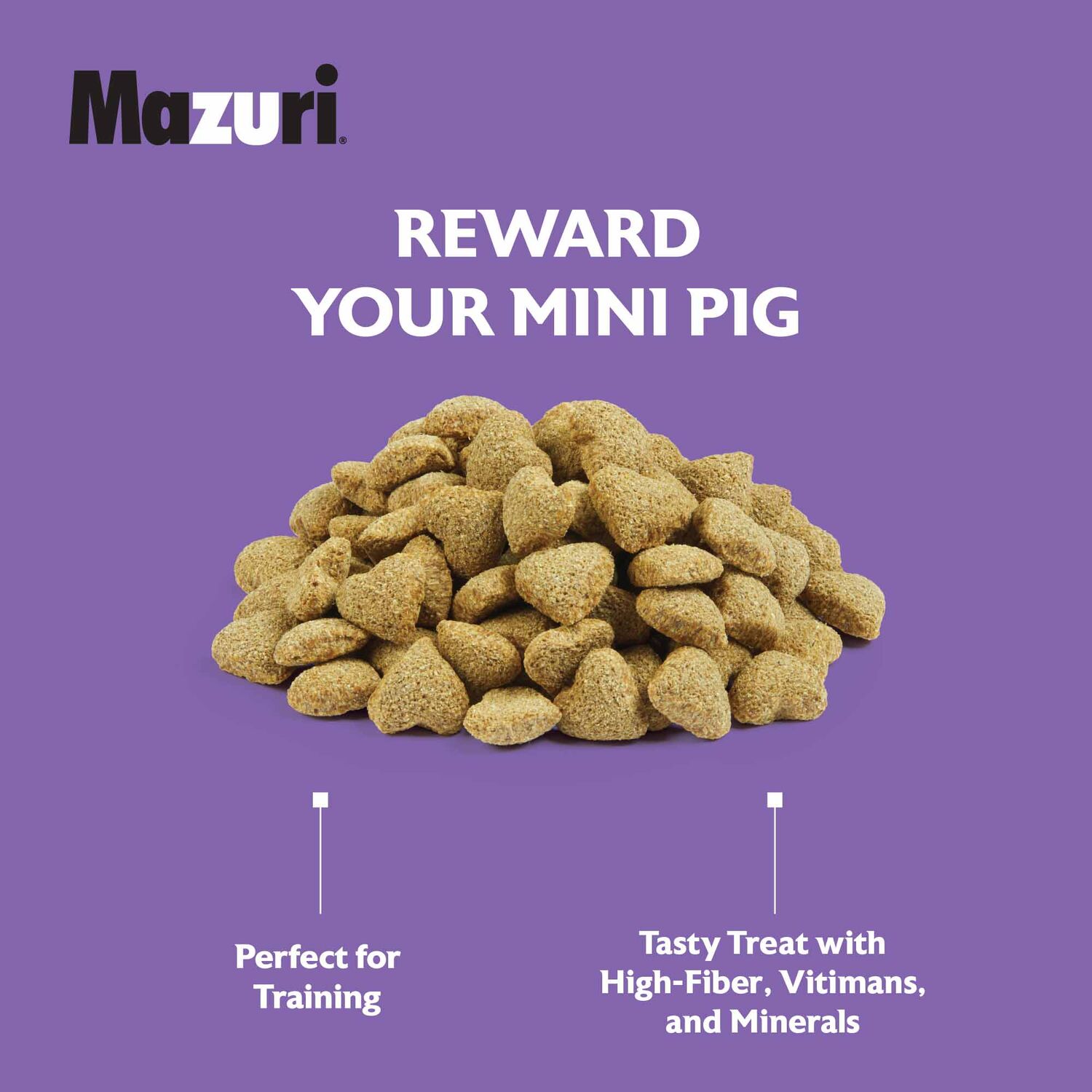 Mazuri Mini Pig Treats Oats & Honey, 6-Lb