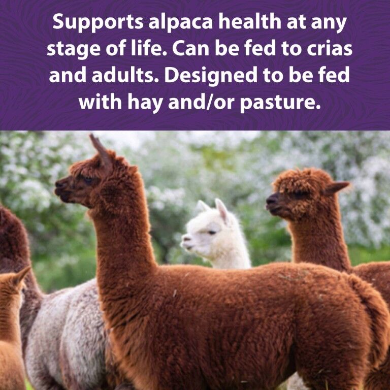 Mazuri Alpaca Care Crumbles, 40-Lb