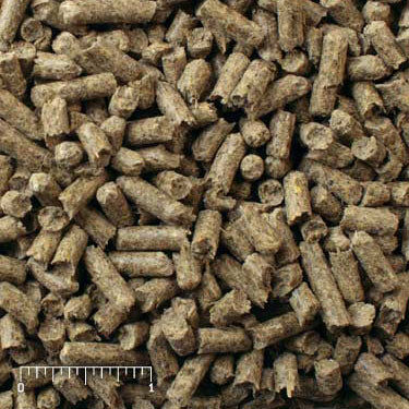 Mazuri Ratite Feed, 50-Lb