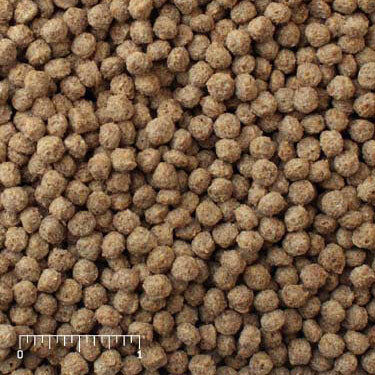 Mazuri Exotic Gamebird Maintenance Feed, 40-Lb