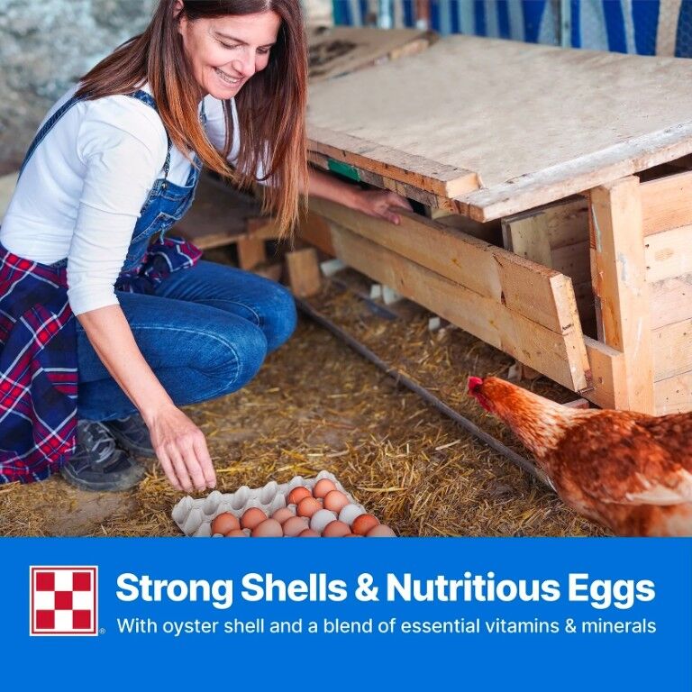 Purina Layena Pellets 16% Layer Hen Feed, 50-Lb