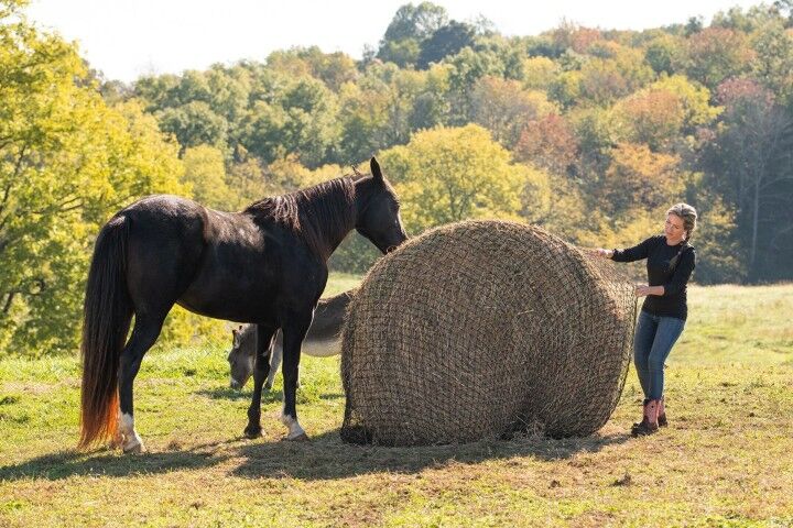 Texas Haynet Round Bale 1.75-In Hole Hay Net, 4-Ft X 4-Ft - 6-Ft X 6-Ft