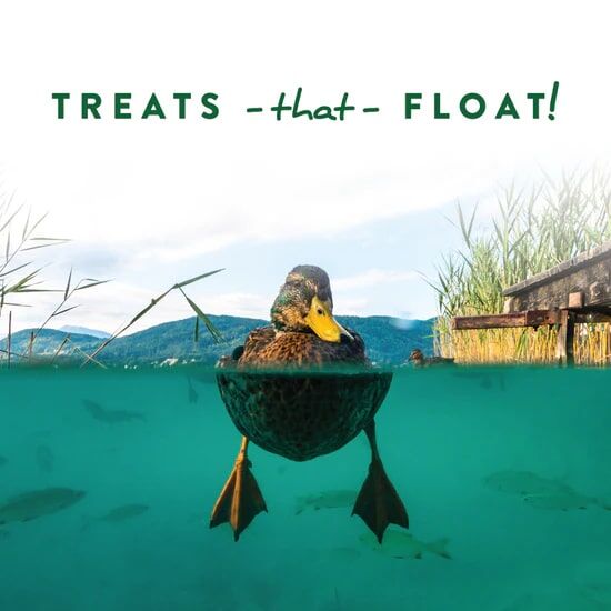 Manna Pro Duck Discs Treats For Waterfowl, 1-Lb