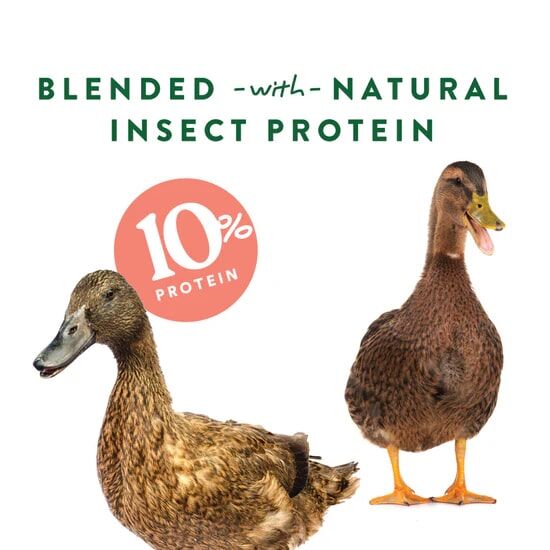 Manna Pro Duck Discs Treats For Waterfowl, 1-Lb