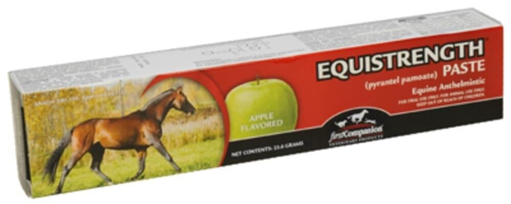 First Companion Equistrength Paste- 1 oz