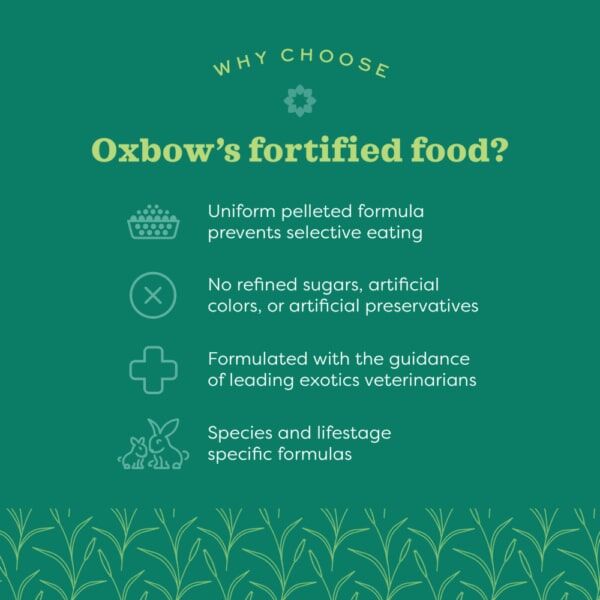 Oxbow Simple Harvest Adult Rabbit Food, 8-Lb