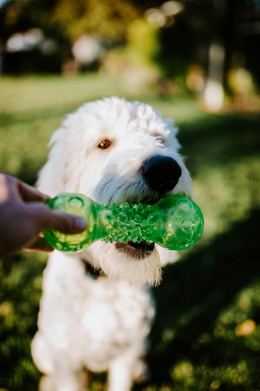 Hyper Pet Dura-Squeaks Barbell Dog Toy