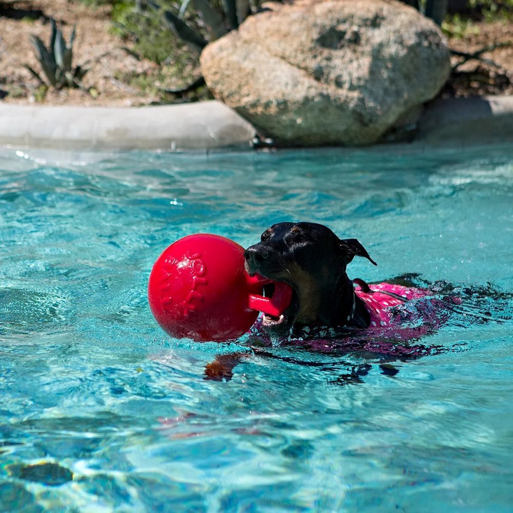 Jolly Pet Red Tug-n-Toss, 8-In