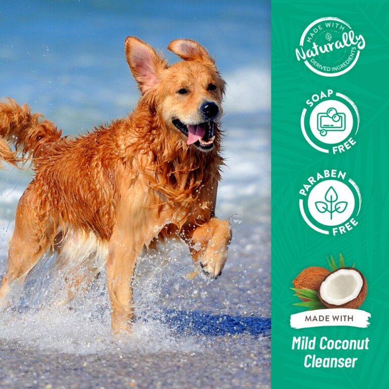 TropiClean Aloe & Coconut Deodorizing Shampoo for Pets, 20-Oz