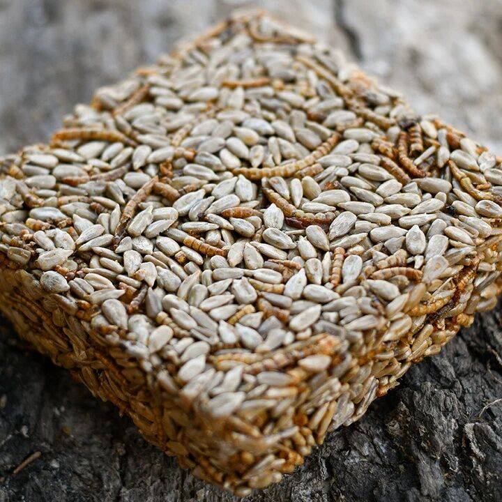 Happy Hen Sunflower & Mealworm Treat Square, 6.5-Oz