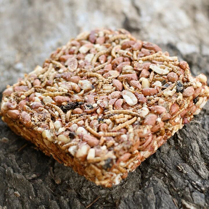 Happy Hen Peanut, Raisin & Mealworm Treat Square, 7.5-Oz