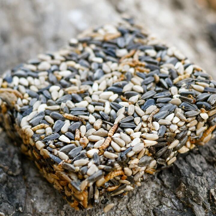 Happy Hen Seed & Mealworm Treat Square, 6-Oz