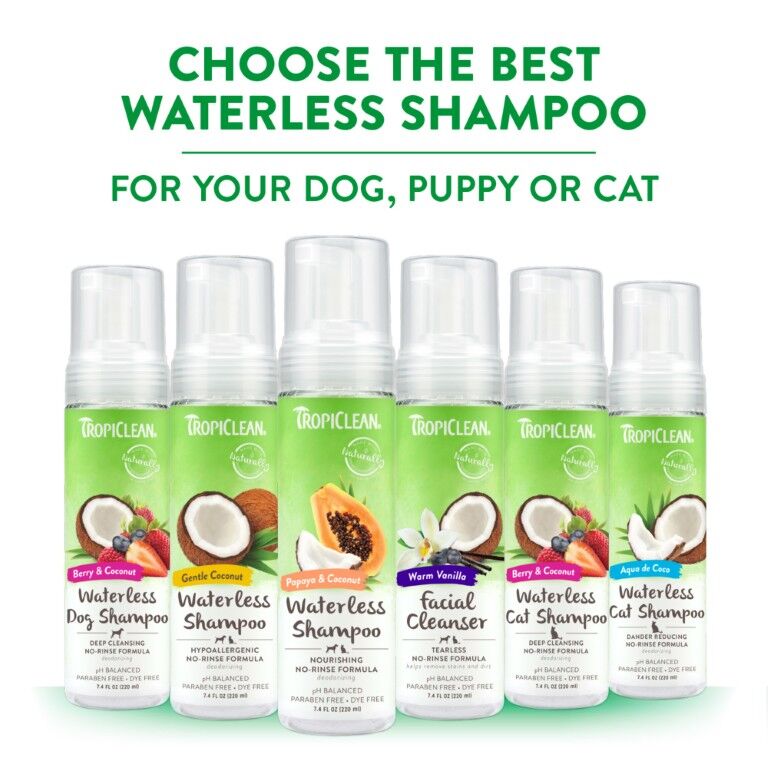 TropiClean Dander Reducing Waterless Cat Shampoo, 7.4-Oz
