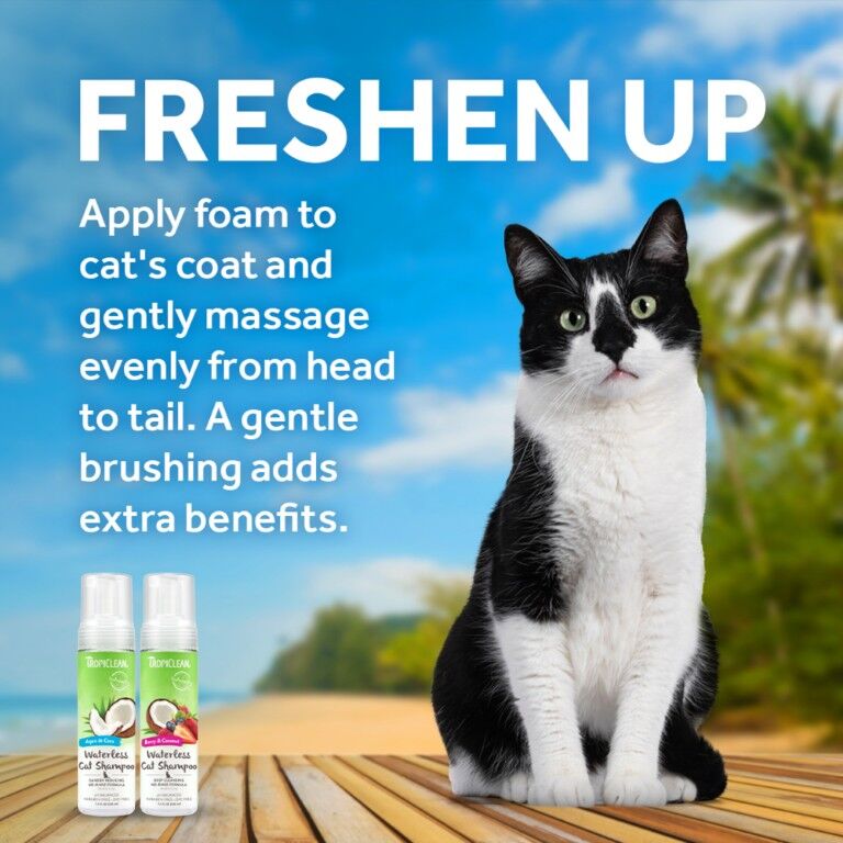 TropiClean Dander Reducing Waterless Cat Shampoo, 7.4-Oz