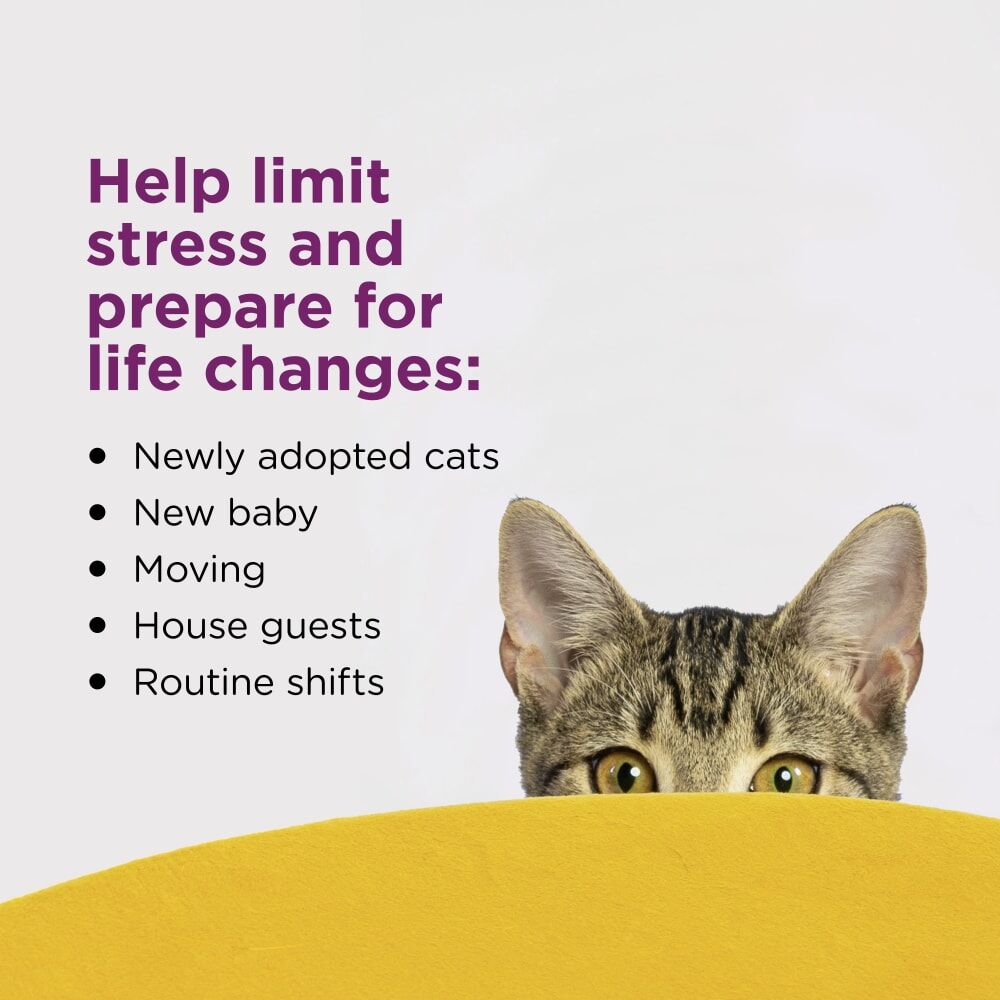 Comfort Zone Cat Calming Diffuser, 1-Pk