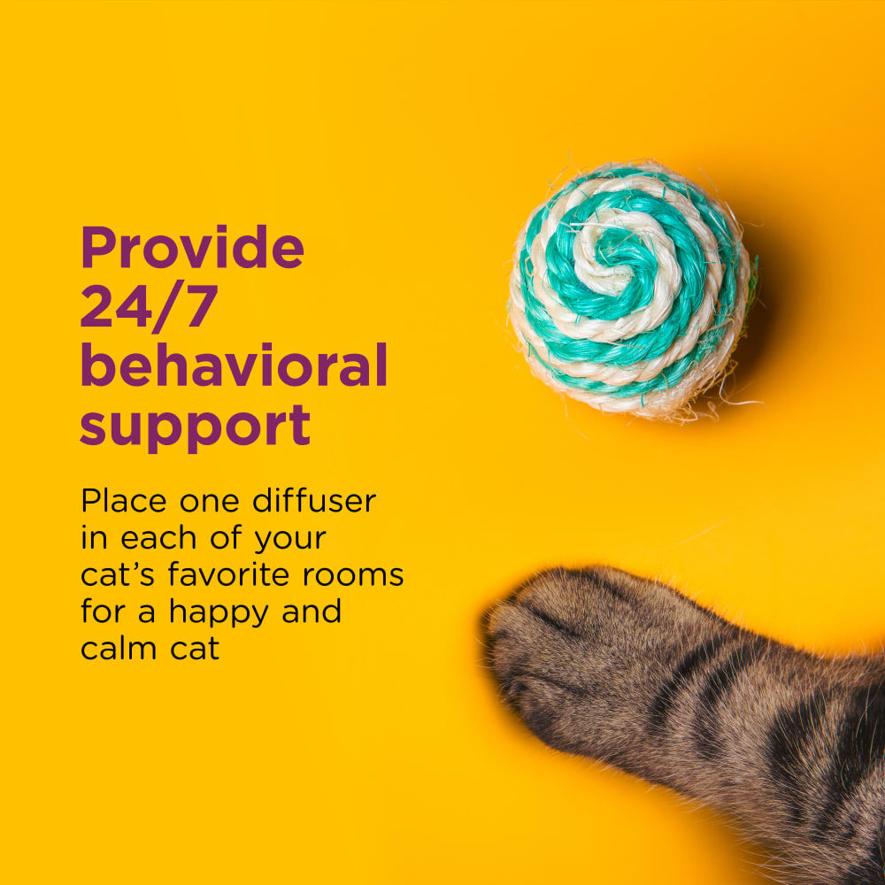 Comfort Zone Cat Calming Diffuser, 1-Pk