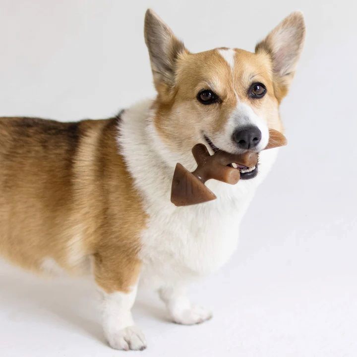 Benebone Small Jack Salmon Fishbone Chew Toy