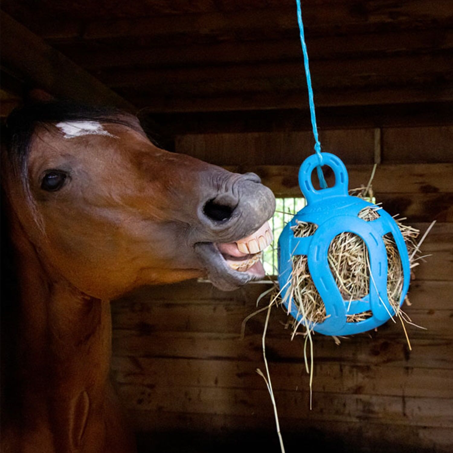 Horseman's Pride Jolly Hay Ball, 8-In