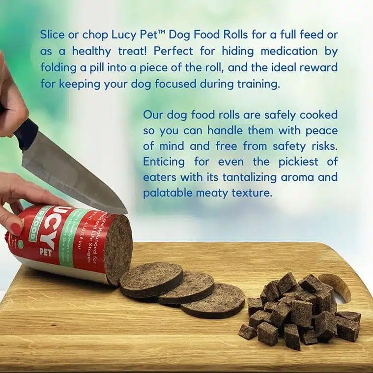 Lucy Pet Original Recipe Beef Formula Dog Food Roll, 1-Lb