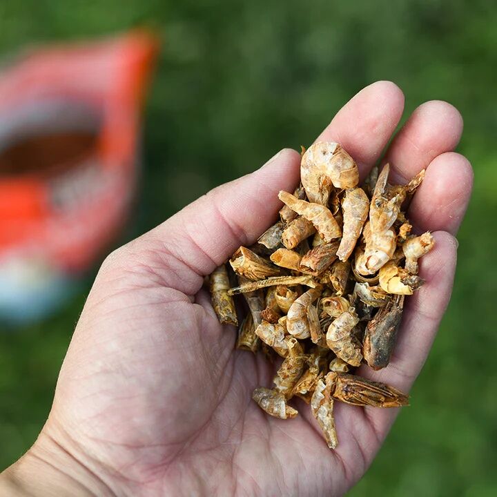 Happy Hen Shrimp Sensation Dried Shrimp Chicken Treats, 10-Oz