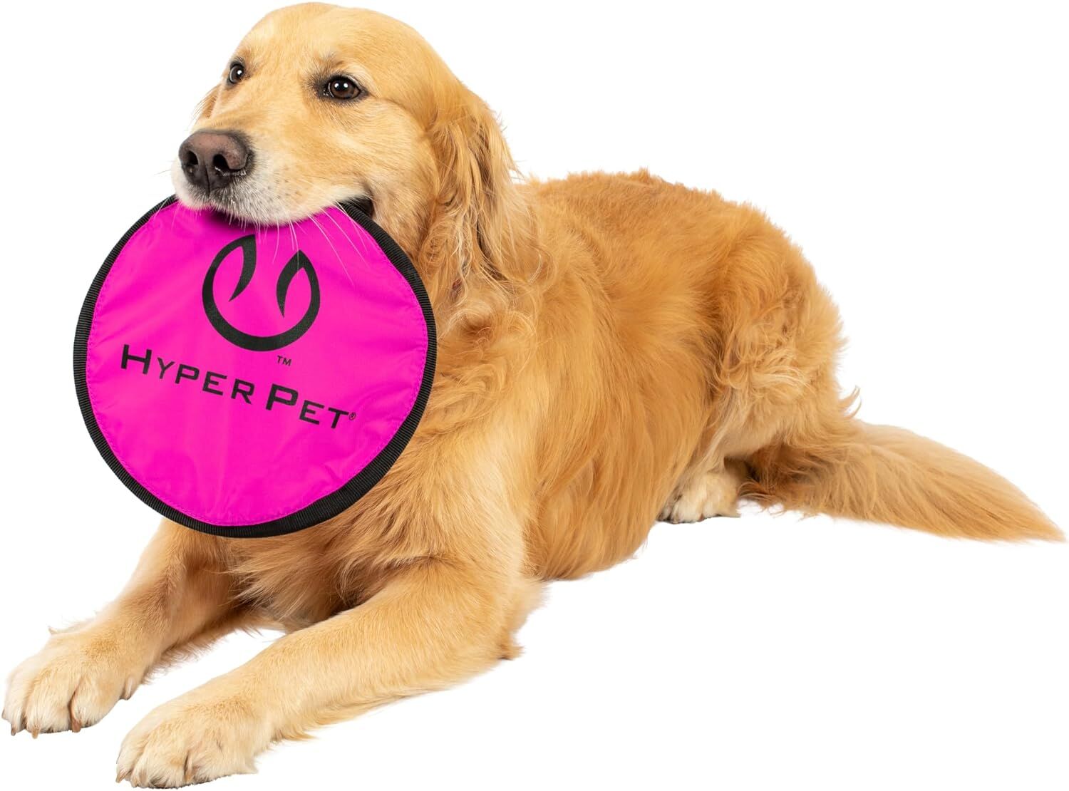 Hyper Pet Flippy Flopper Dog Frisbee Assortment, 9-In
