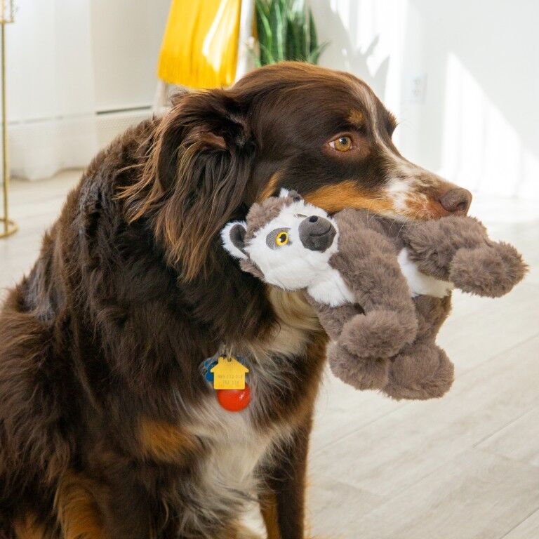 KONG Scampers Lemur Dog Squeaker Toy