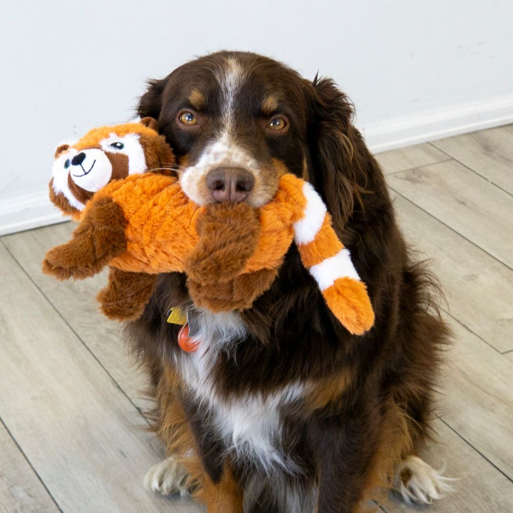 KONG Scampers Red Panda Dog Squeaker Toy