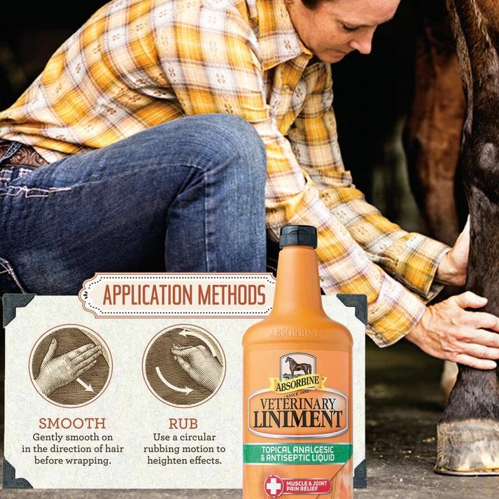 Absorbine Veterinary Liniment, 1-Gal