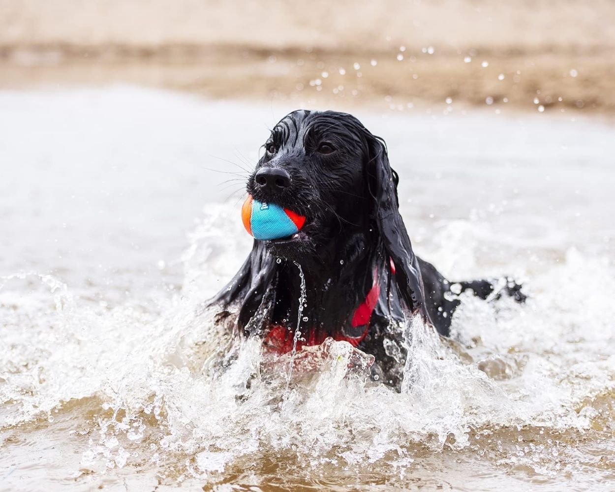 Chuckit! Amphibious Fetch Balls Dog Toy, 3-Pk