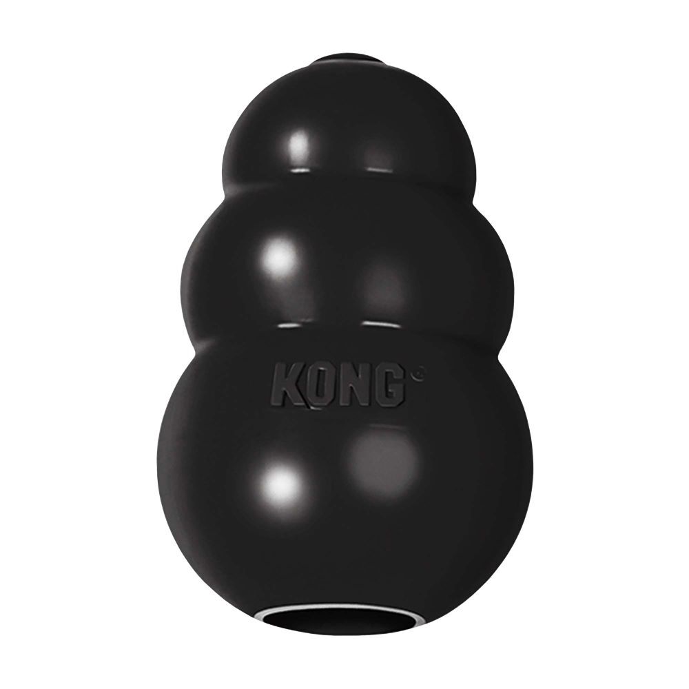 KONG Medium Extreme Dog Toy