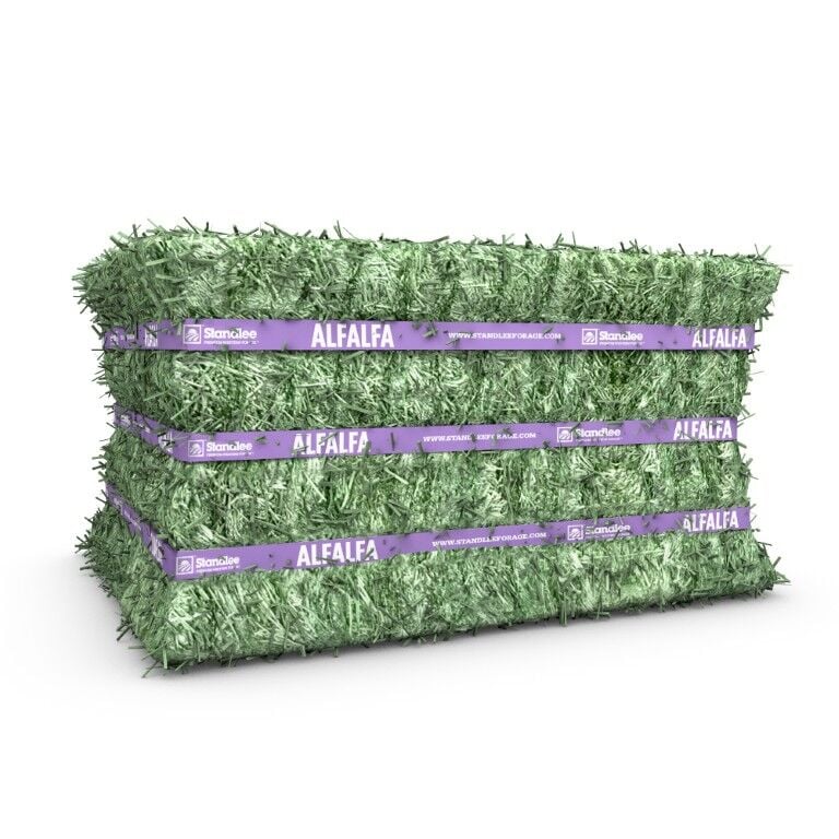 Standlee Premium Western Forage Alfalfa Compressed Hay Bale, 50-Lb
