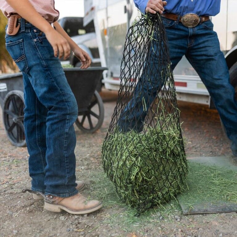 Standlee Premium Western Forage Orchard Grass Compressed Hay Bale, 50-Lb