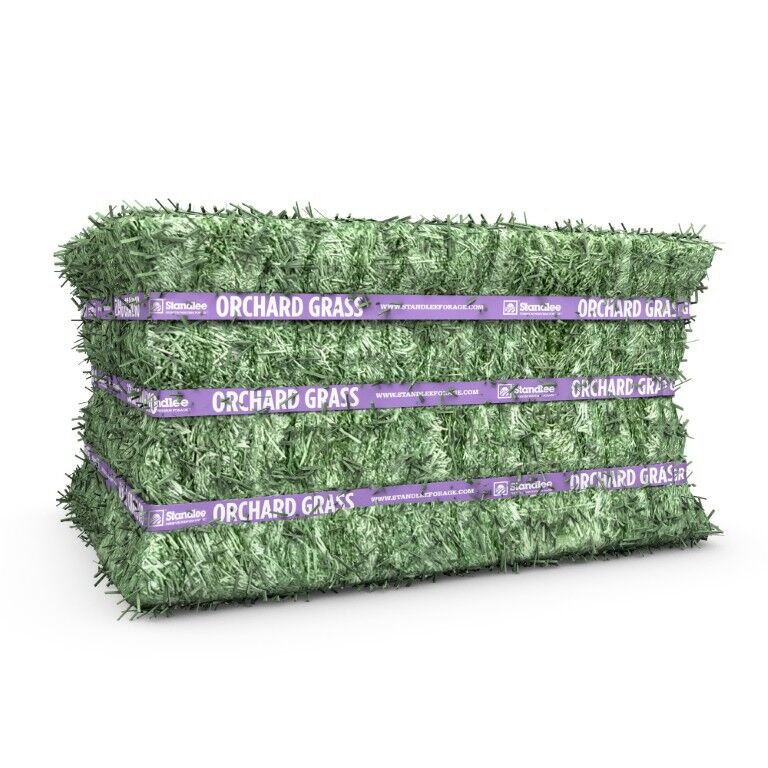 Standlee Premium Western Forage Orchard Grass Compressed Hay Bale, 50-Lb