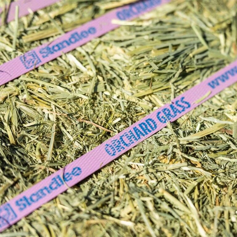 Standlee Premium Western Forage Orchard Grass Compressed Hay Bale, 50-Lb