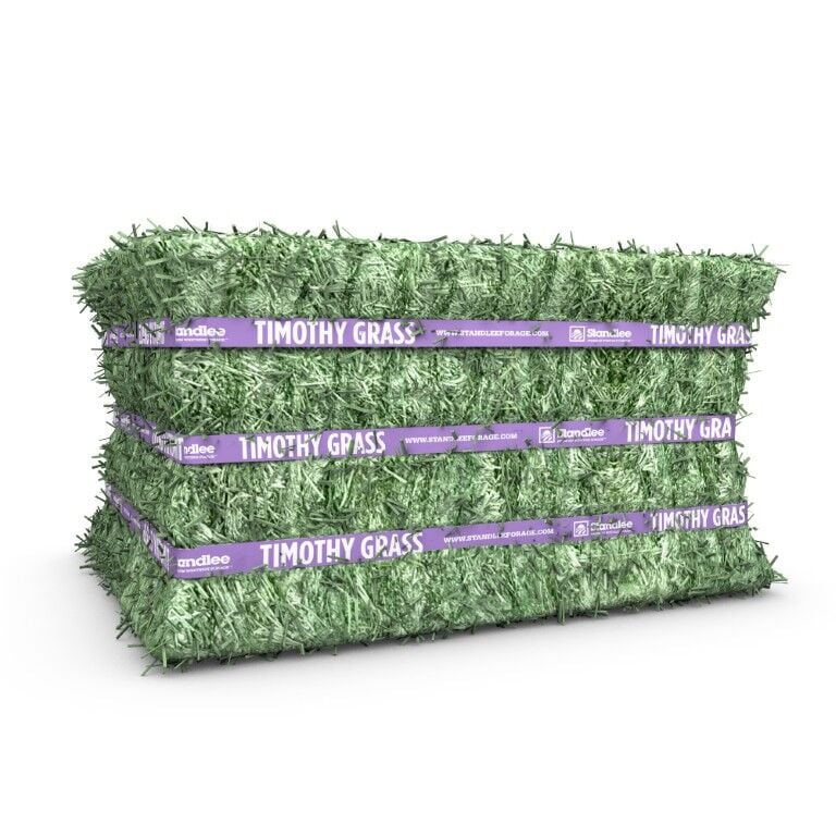 Standlee Premium Western Forage Timothy Grass Compressed Hay Bale, 50-Lb