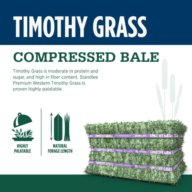 Standlee Premium Western Forage Timothy Grass Compressed Hay Bale, 50-Lb