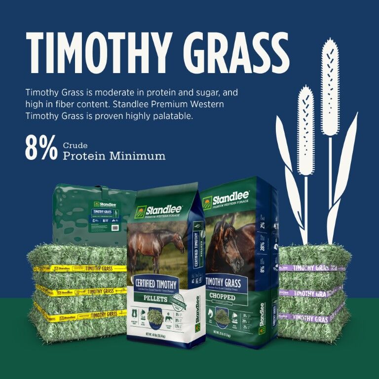 Standlee Premium Western Forage Timothy Grass Compressed Hay Bale, 50-Lb