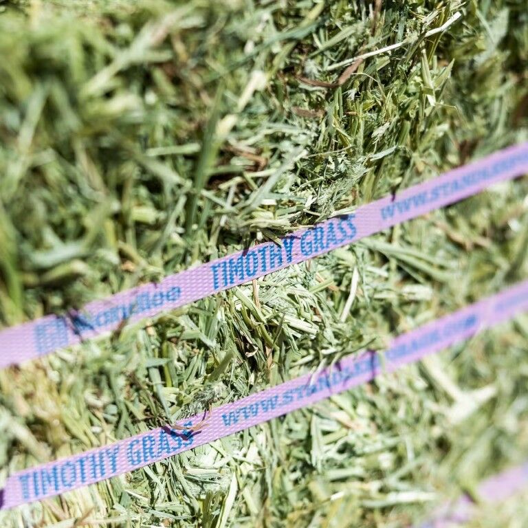 Standlee Premium Western Forage Timothy Grass Compressed Hay Bale, 50-Lb