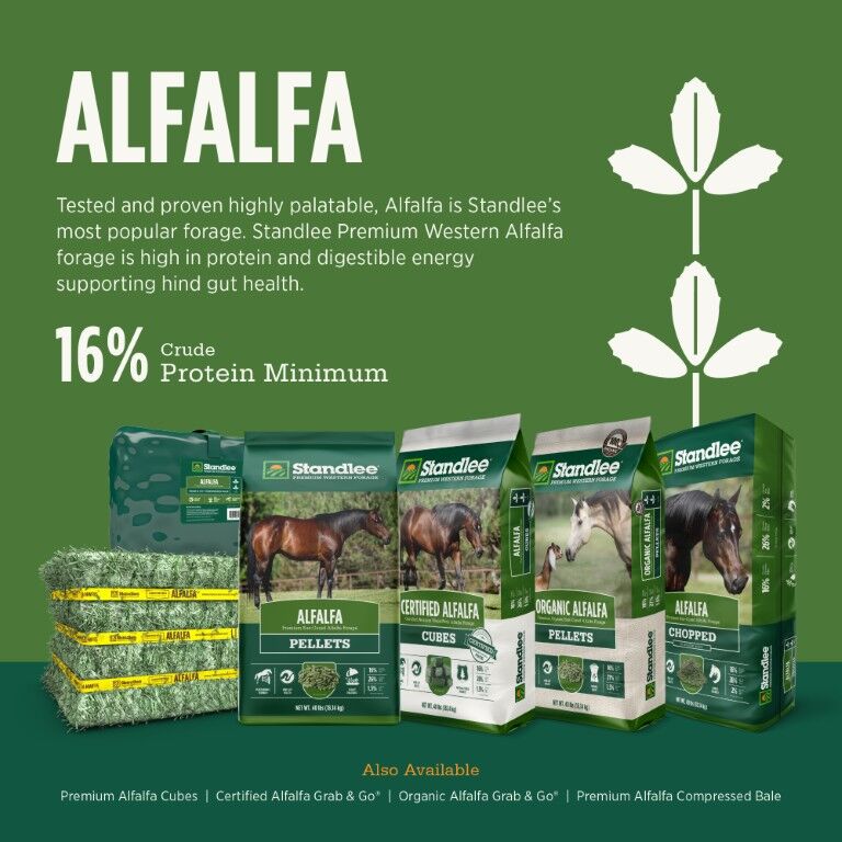 Standlee Premium Western Forage Alfalfa Grab & Go Compressed Hay Bale, 50-Lb