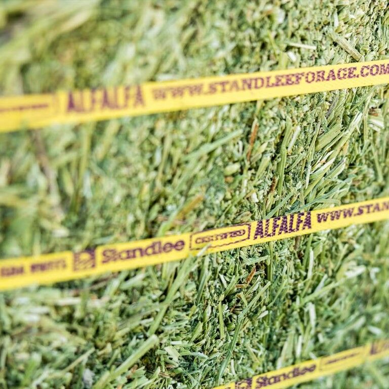 Standlee Premium Western Forage Certified Alfalfa Compressed Hay Bale, 50-Lb