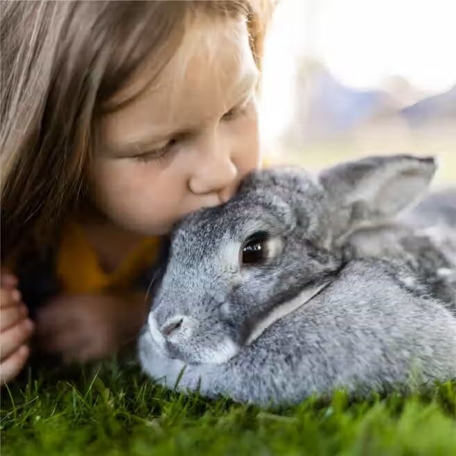 Standlee Small Animal Hand-Selected Timothy Grass, 18-Oz