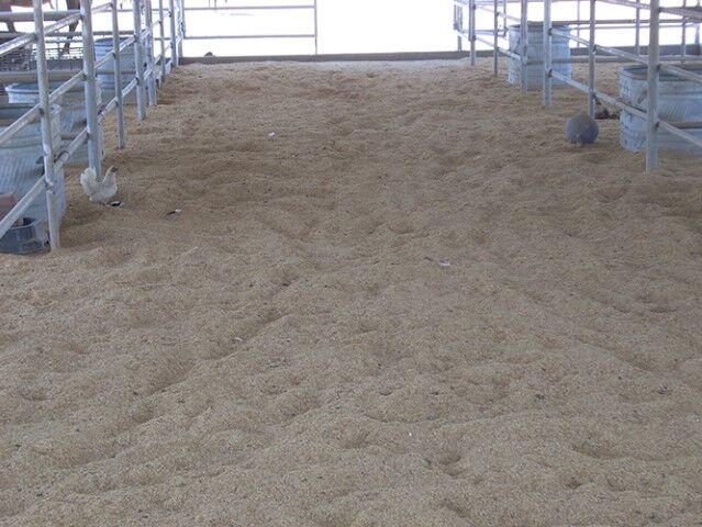 Perma Stall Rice Hull Bedding