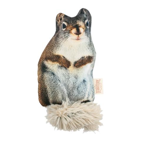 Territory Pet Floppy Squirrel Dog Toy