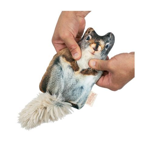 Territory Pet Floppy Squirrel Dog Toy