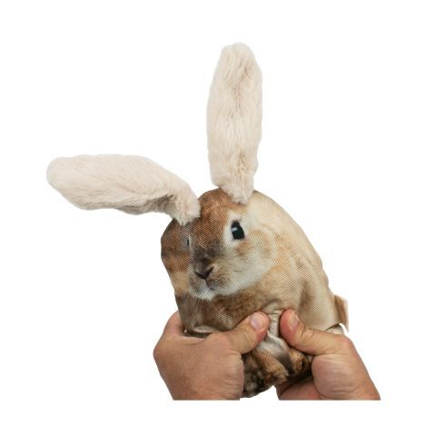 Territory Pet Floppy Rabbit Dog Toy