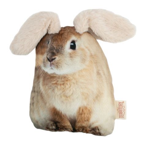 Territory Pet Floppy Rabbit Dog Toy