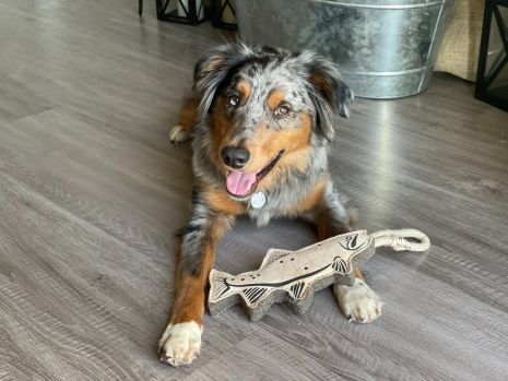 Tall Tails Natural Leather Trout Tug Dog Toy