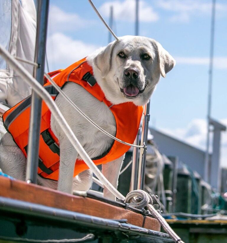 BAYDOG Monterey Bay Dog Lifejacket Small Orange