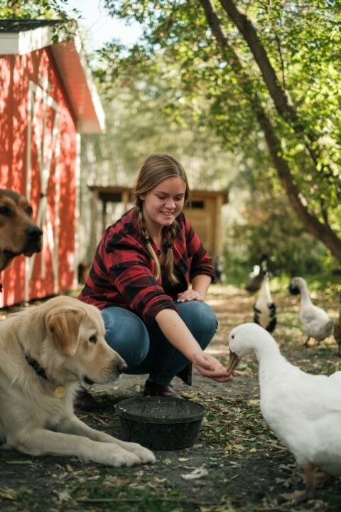 HealthiStraw FarmStraw Coarse Premium Animal Bedding, 12-Cu Ft